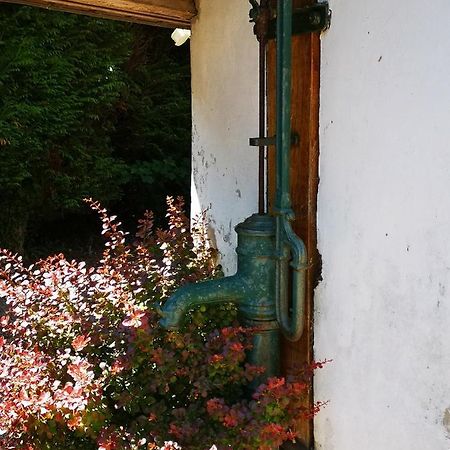 Studio Vacances Proche Plages Neufchâtel-Hardelot Zewnętrze zdjęcie